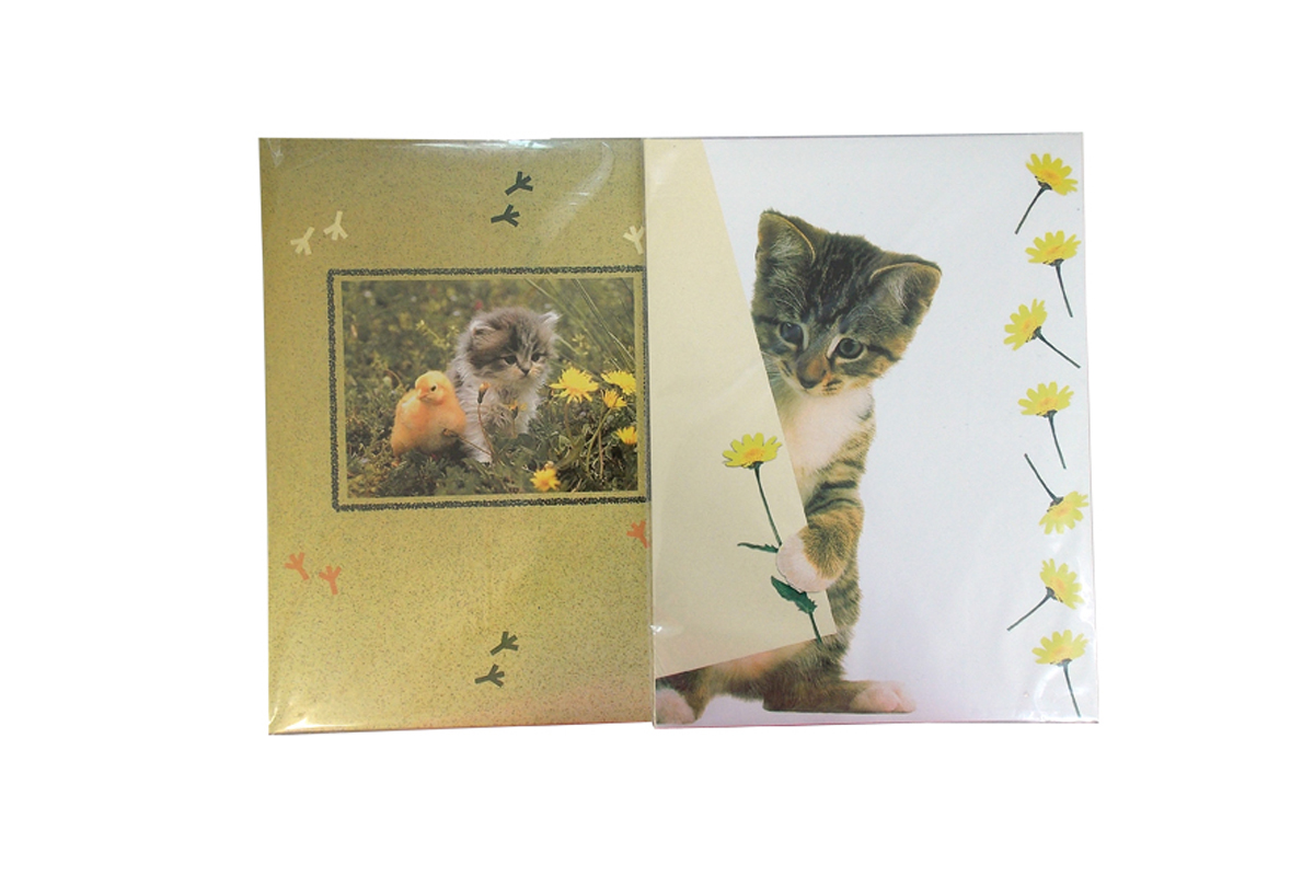 rheita-briefpapier-k-tzchen-briefpapier-set-90g-m-mit-umschl-gen-10-b-gen image 1
