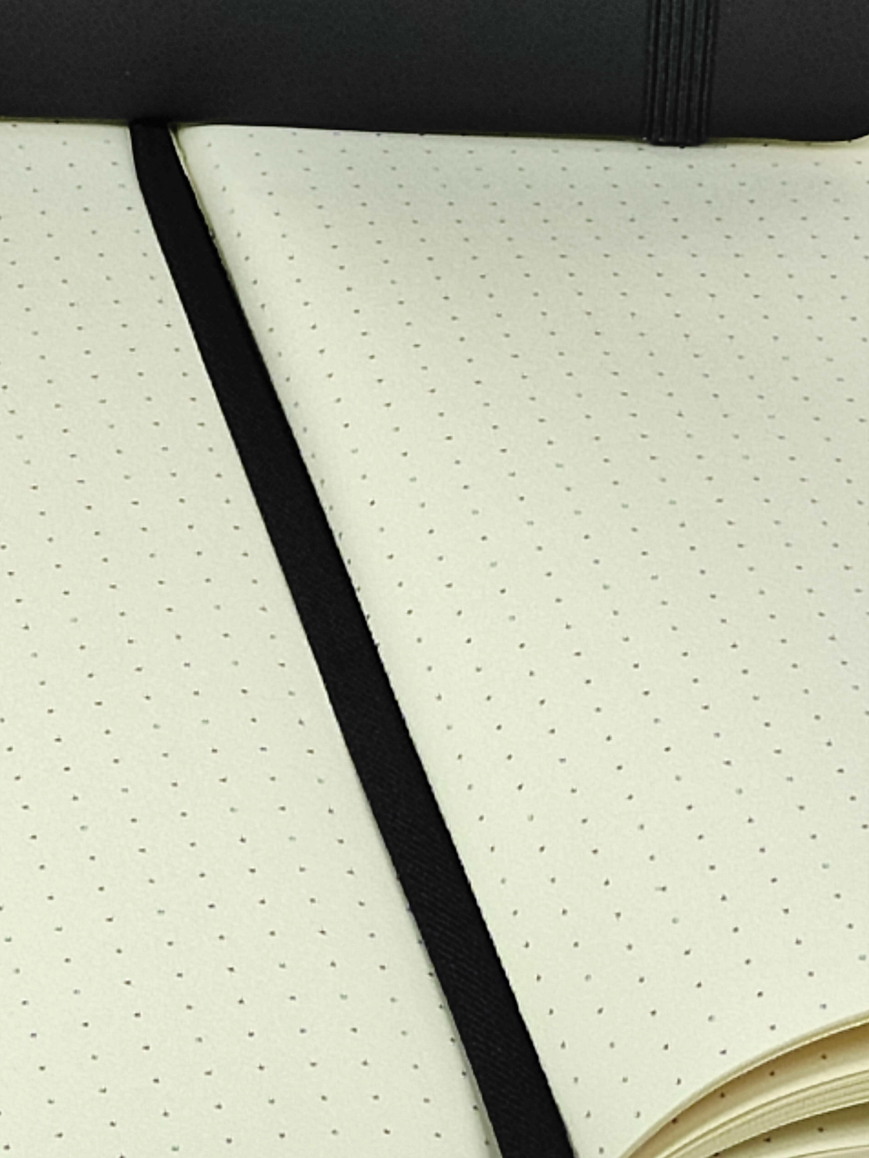 rheita-bullet-journal-a5-dots-120-blatt-80g-m-pu-schwarz-mit-sammeltasche image 2