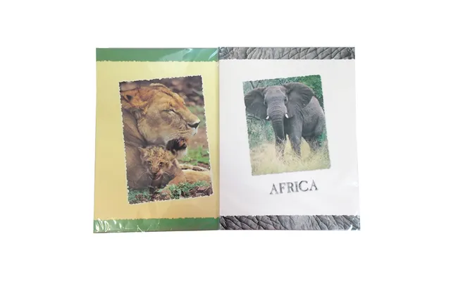 rheita-briefpapier-afrika-90g-m-10-b-gen-umschl-ge image 1