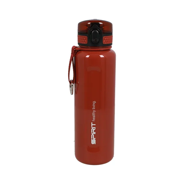 rheita-gataric-trinkflasche-moment-830-ml-rot-aus-tritan image 1