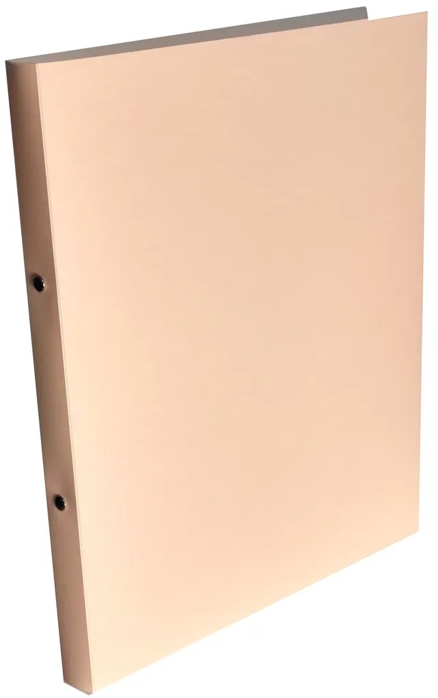 rheita-ringbuch-a4-trend-pp-2-loch-1-6-cm-ring-2-5-cm-r-cken-apricot image 1